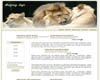 Web template image for Animals
