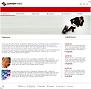 Web template image for Simple Company