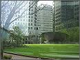 Our Office
