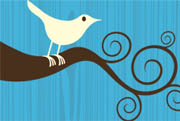 Twitter not for sale - Google Apple and Microsoft bids rejected